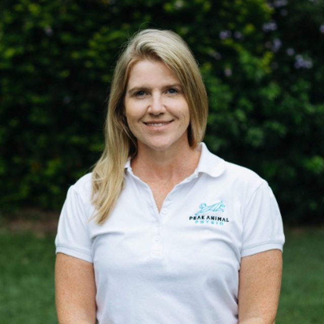 Sandy Sharpe, Canine Physiotherapist